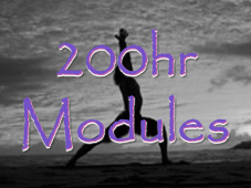 200hr Modules